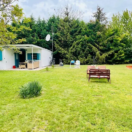 Csipkebogyó - Siófok